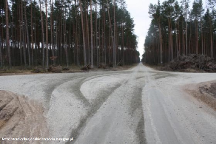 Kierowcy niszczą drogę leśną w okolicach Sławna - Nadleśnictwo może ją zamknąć