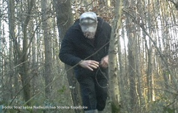 Straż Leśna Nadleśnictwa Strzelce Kraj. zatrzymała 68-letniego kłusownika