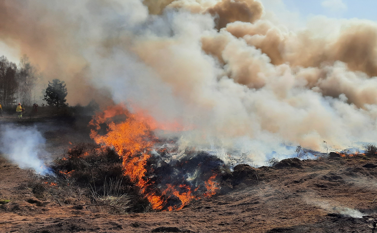 Wysokie i średnie zagrożenie pożarowe w lasach! | MAPA 