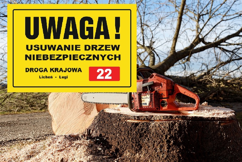 Będą utrudnienia na DK22 Licheń-Ługi. Nadleśnictwo będzie przeprowadzać prace...