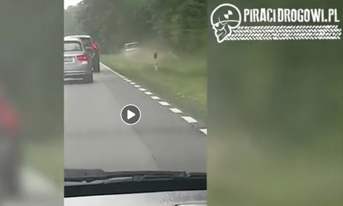 Pirat drogowy na drodze Strzelce Kraj. - Gorzów wyprzedzał korek rowem... [VIDEO]