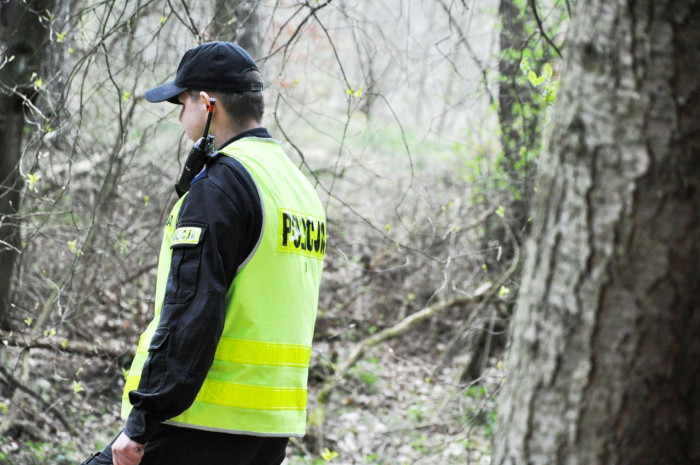 59-latka zgubiła się na grzybach w lesie niedaleko Goszczanowa. Na szczęście została odnaleziona...