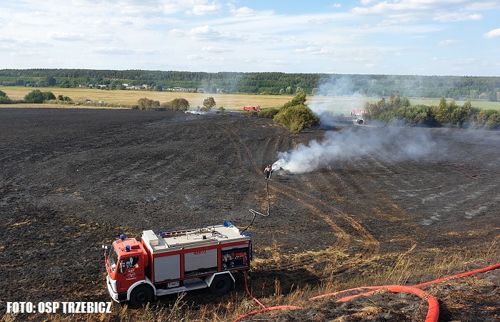 Pożar nieużytków pod Drezdenkiem. Spaliła się maszyna rolnicza [FOTO]
