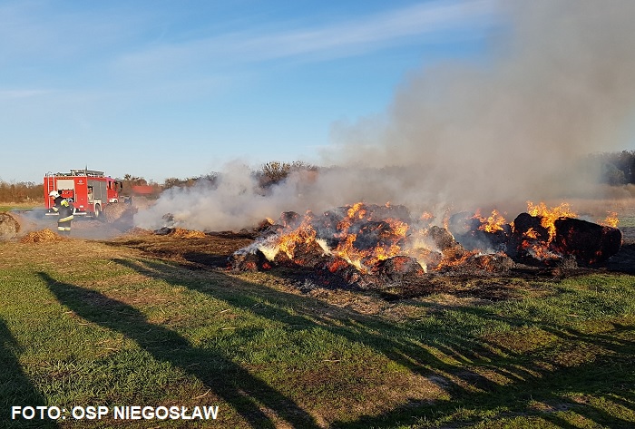 Pożary traw i składowiska balotów w Drezdenku