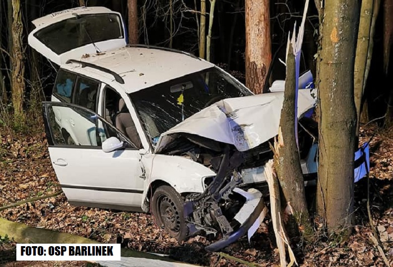 Wypadek na DW 156 Strzelce Kraj - Barlinek w okolicach m.Krzynka [FOTO]. Passat uderzył w drzewo...