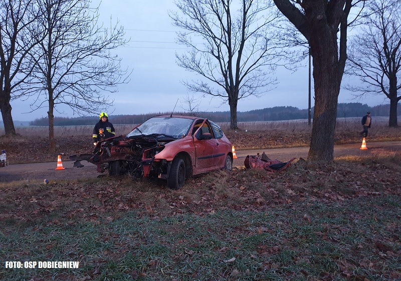 Groźny wypadek koło Dobiegniewa. Peugeot uderzył w drzewo...silnik na polu [FOTO]